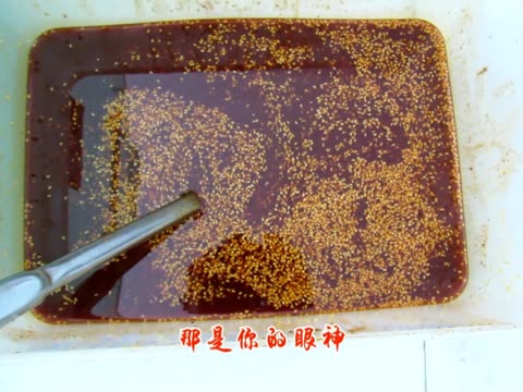 烤面筋做法,烤面筋培训