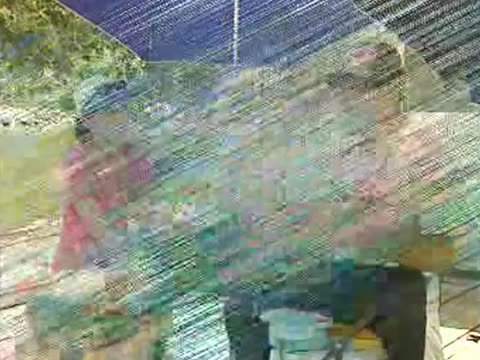 野外钓鲫鱼视频高清_春天野外钓鲫鱼视频_野