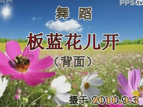 板蓝花儿开 反面图片_板蓝花儿开 反面_社会热