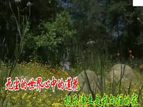 云泉法师佛歌大全-回家-印良法师-大悲咒佛教音