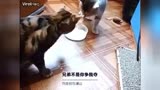 无论你在哪-电影-正版古装高清--爱奇艺张钧宁神话视频有电视剧图片