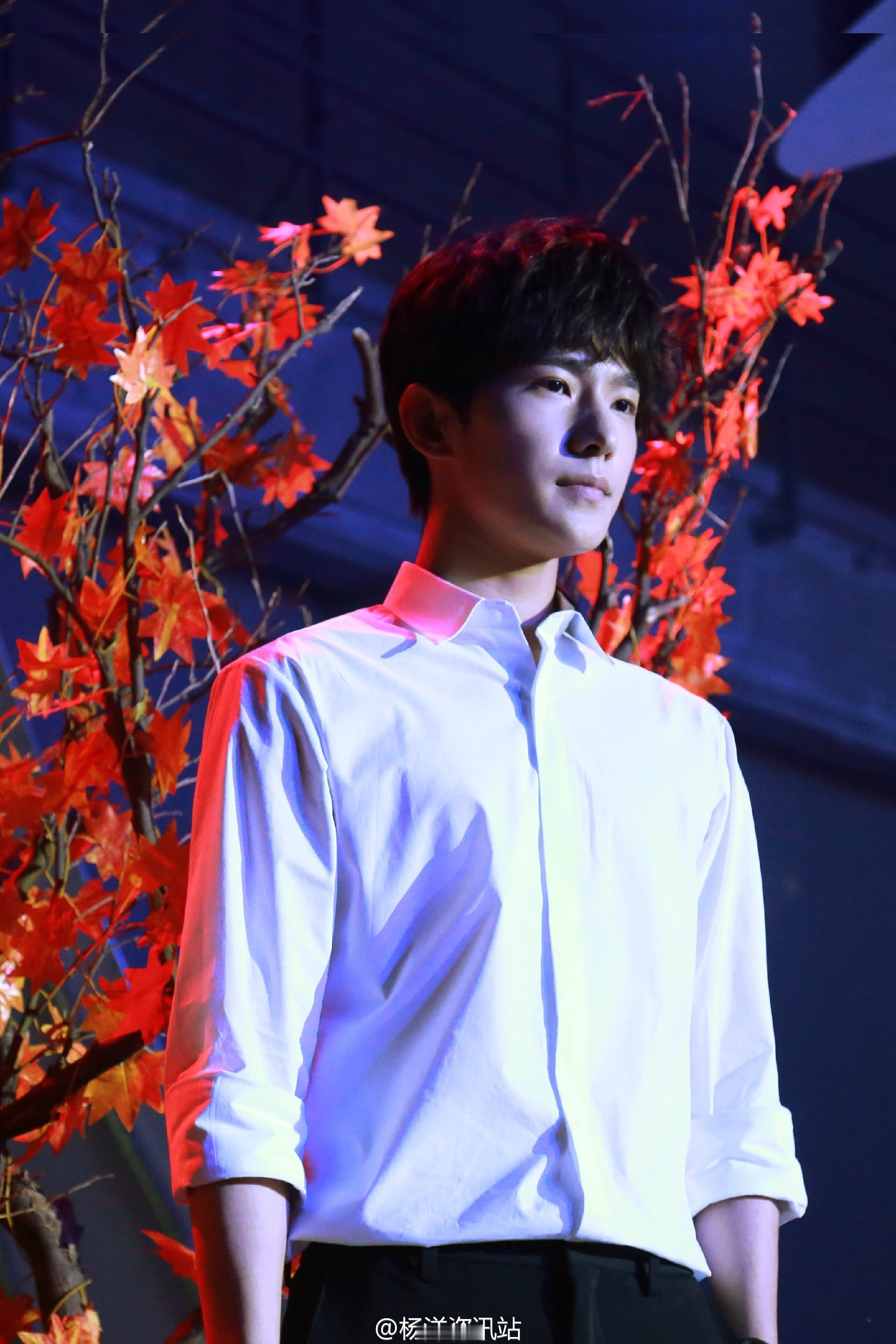 洋洋真的很帅啊,爱你